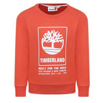 TIMBERLAND Sweat  Garçon Timberland T60075. Coloris disponibles : Orange