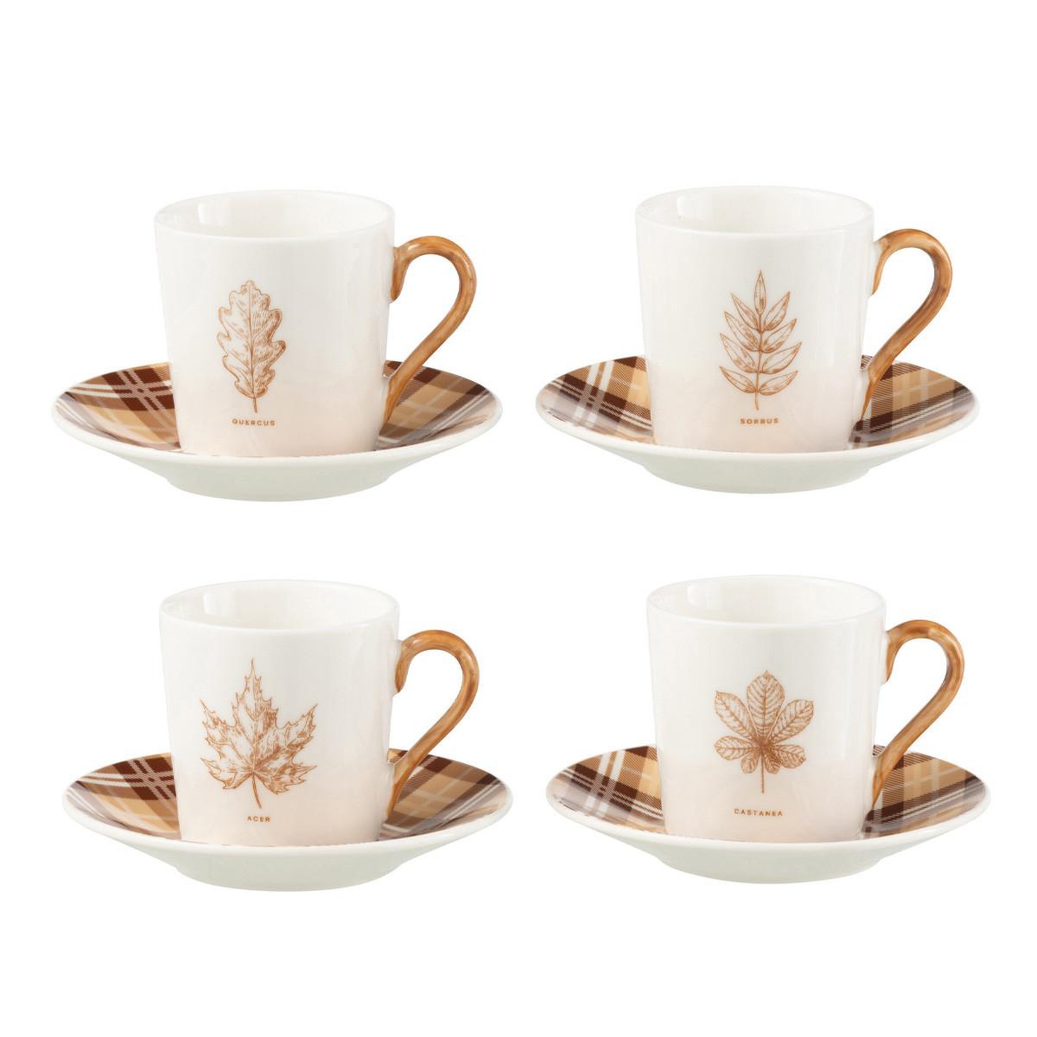 J-LINE Lot de 4 tasses à café & sous-tasses  quercus  8cl marron