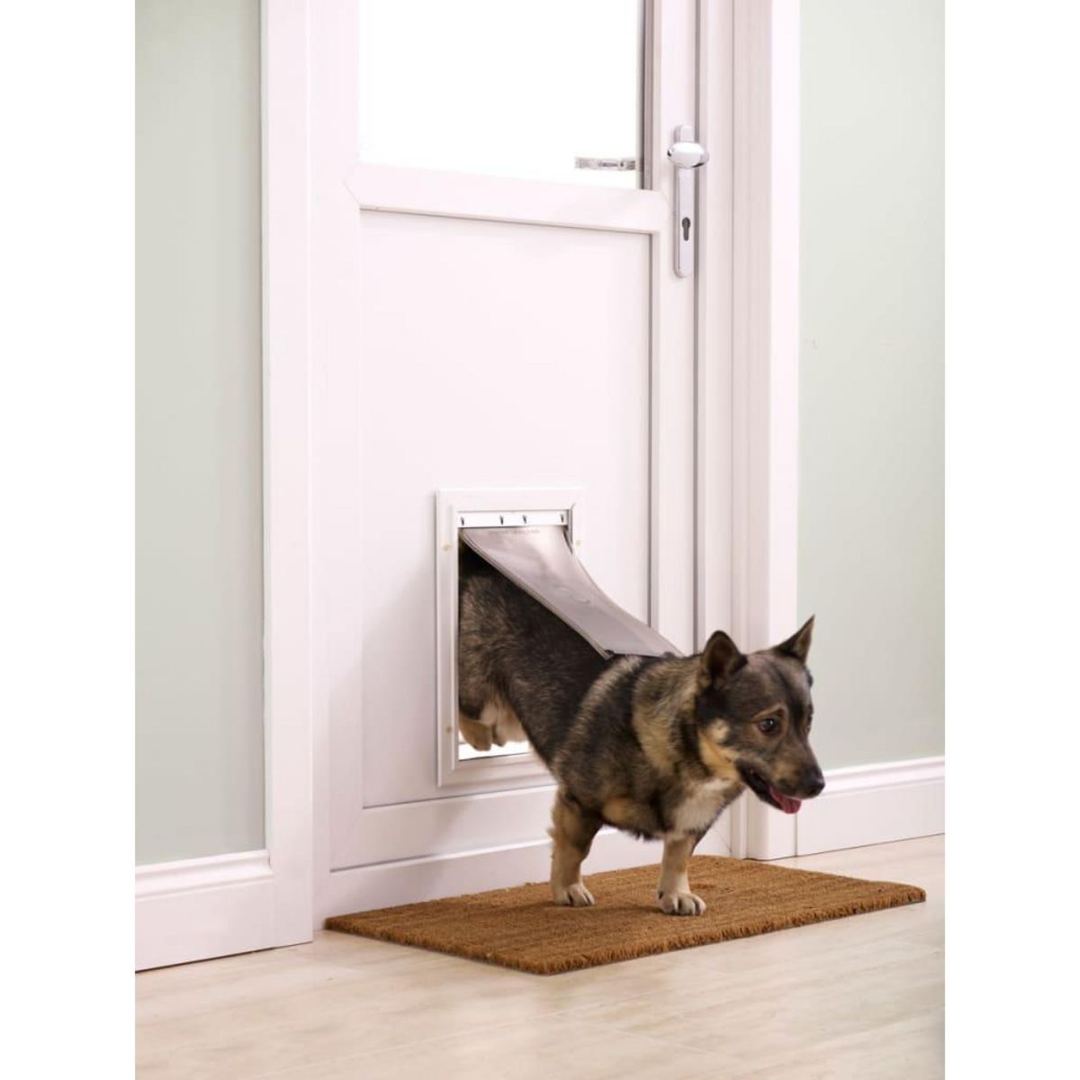 PETSAFE PetSafe Chatiere pour animaux de compagnie 620 Aluminium <18 kg
