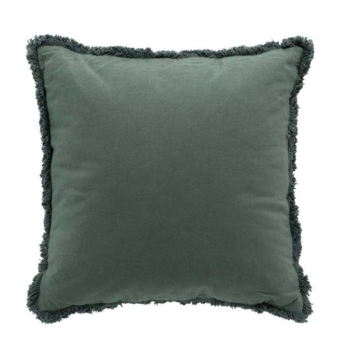 Paris Prix Coussin Déco à Franges  Eve  45x45cm Verveine