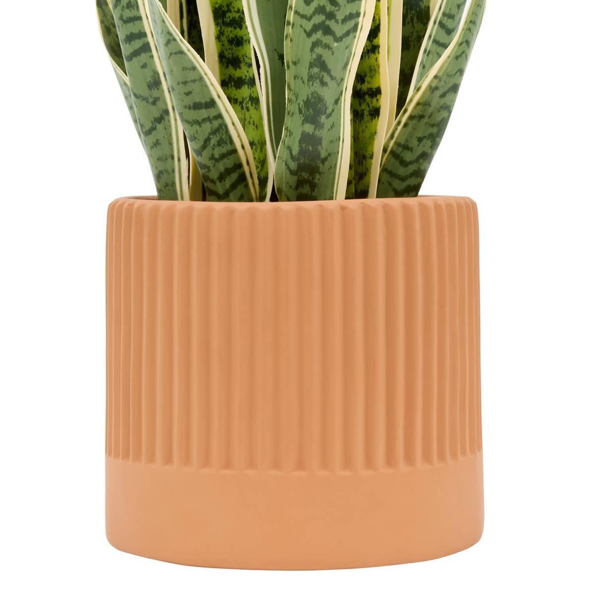 Voir la diapositive 2 : ATMOSPHERA Plante Artificielle en Pot  Sansevieria Nippo  78cm Marron