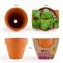  Kit de jardinage : Mini Pot Trèfle à 4 feuilles porte bonheur