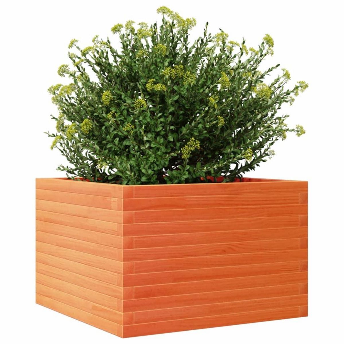 VIDAXL Jardiniere cire marron 70x70x45,5 cm bois de pin massif