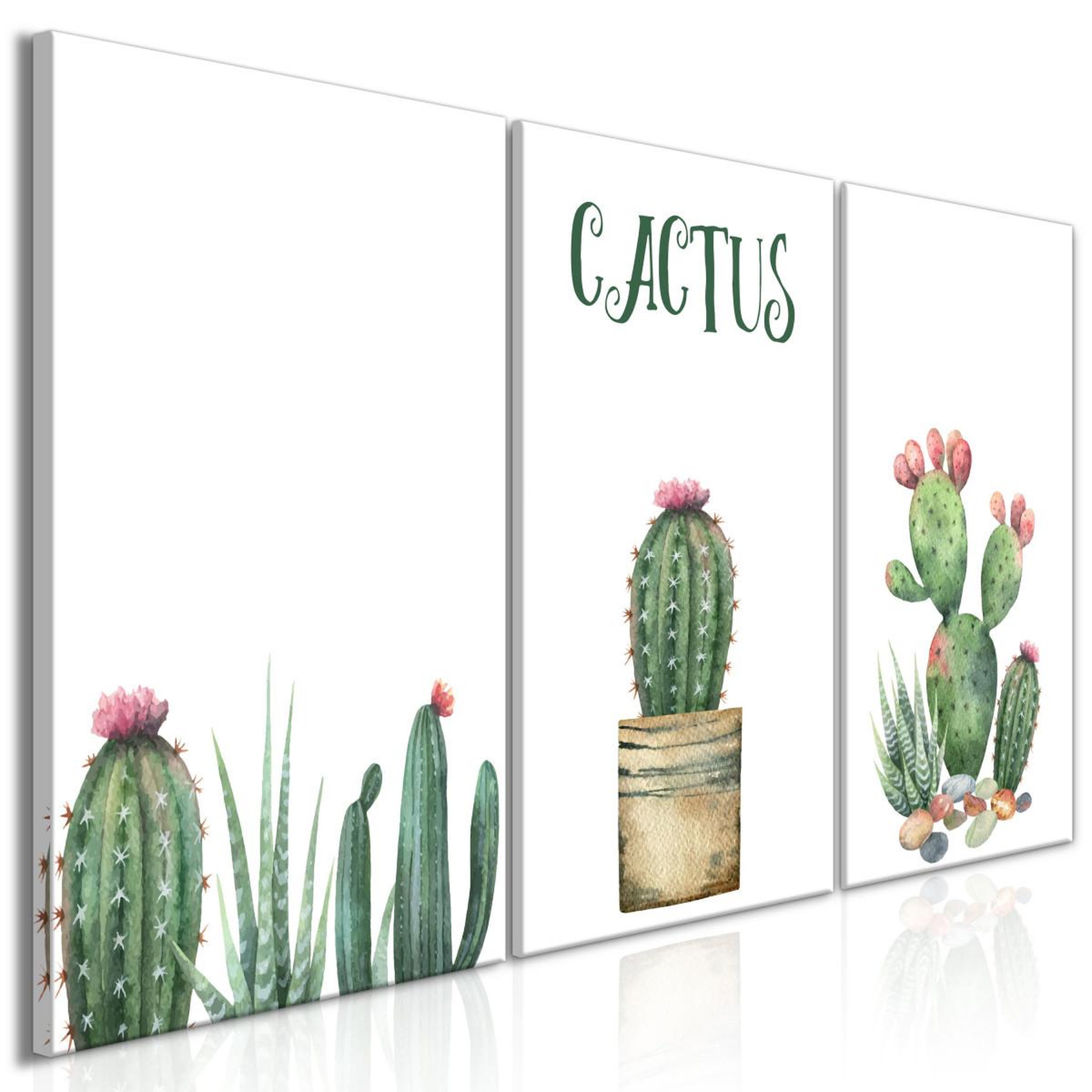 Paris Prix Tableau imprimé  prickly flowers 3 panneaux  60x120cm