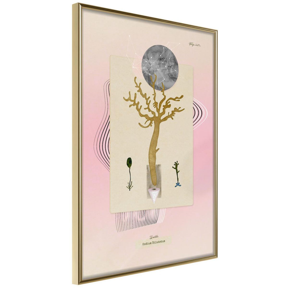 Paris Prix Affiche Murale Encadrée  Aquatic Plant