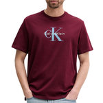CALVIN KLEIN JEANS T Shirt Bordeaux Homme Calvin Klein Jeans Hero. Coloris disponibles : Marron