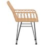 Voir la diapositive 5 : VIDAXL Chaises de jardin lot de 2 accoudoir 56x64x80 cm Resine tressee