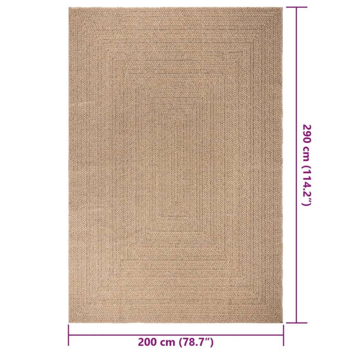 VIDAXL Tapis ZIZUR 200x290 cm aspect de jute interieur et exterieur