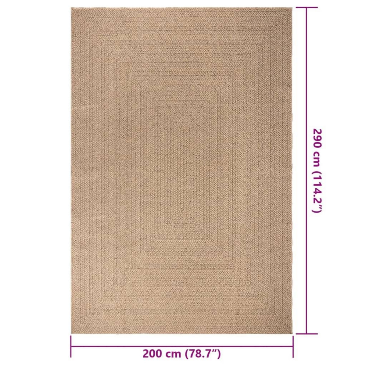 VIDAXL Tapis ZIZUR 200x290 cm aspect de jute interieur et exterieur