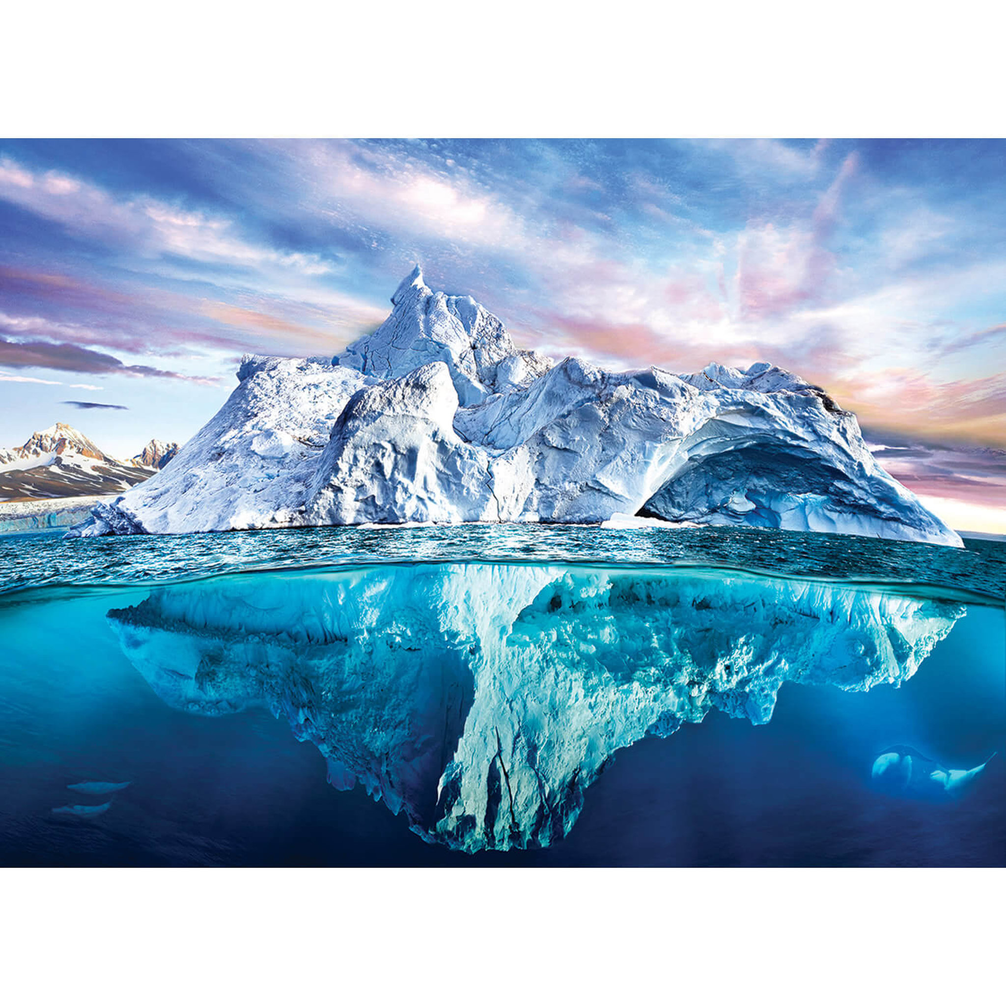 Voir la diapositive 1 : Eurographics Puzzle 1000 pièces : Save the planet : Arctique