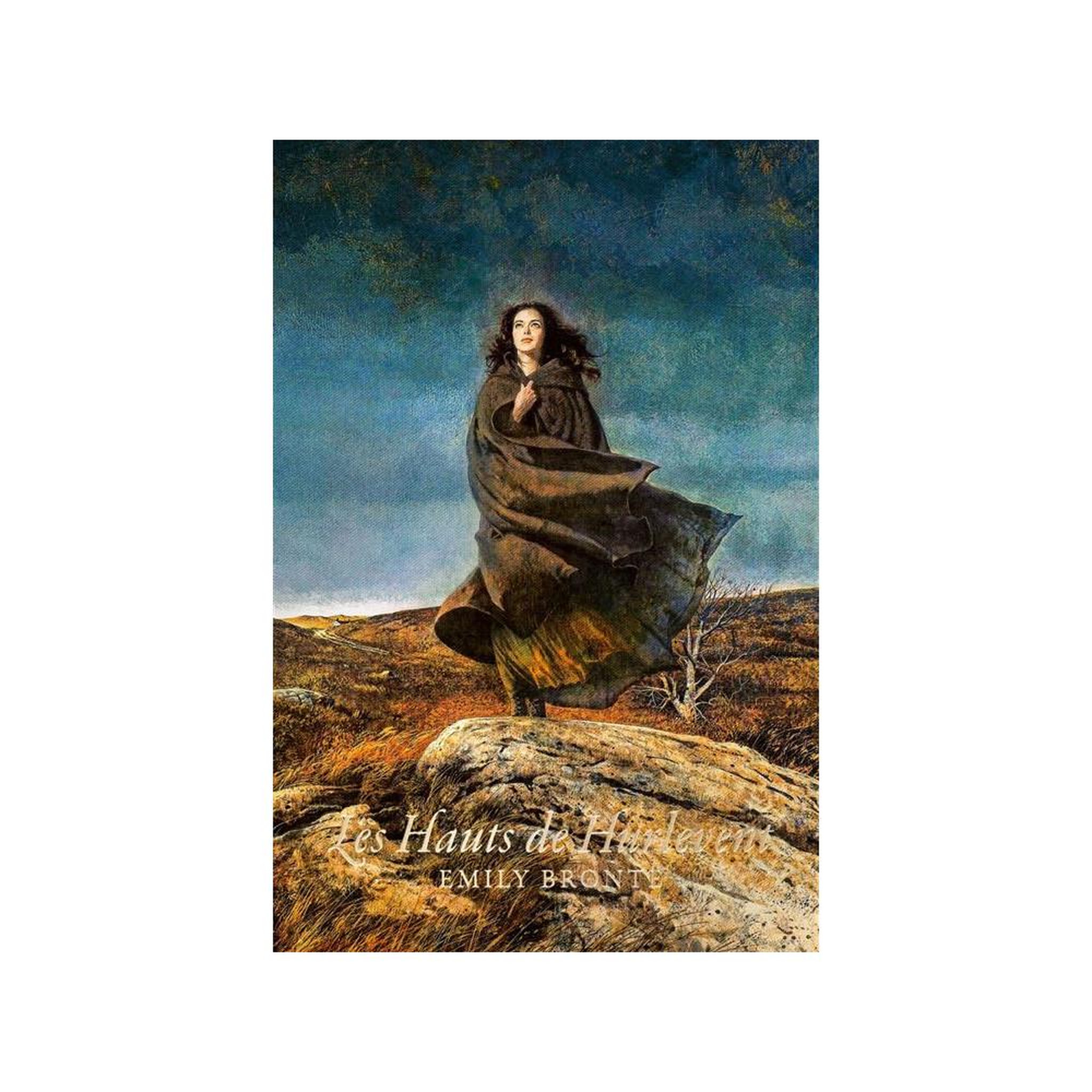 Roman adolescent relié les hauts de hurlevent d'emily brontë