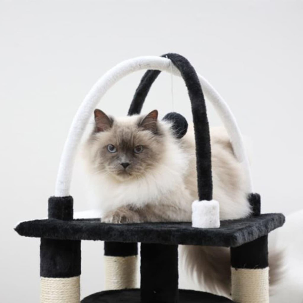 KERBL Kerbl Arbre a chats Onyx Noir et blanc 81507