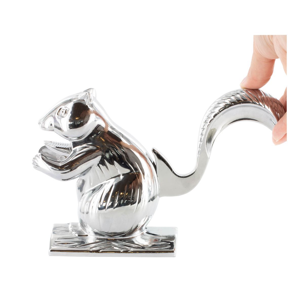 Casse noix écureuil