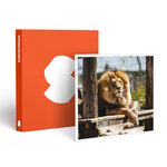 Smartbox Tanière Zoo Refuge : immersion avec les carnivores ou les éléphants pour 1 personne - Coffret Cadeau Multi-thèmes