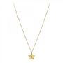 Voir la diapositive 3 : SC BOHEME Collier étoile par SC Bohème orné d'un véritable diamant blanc