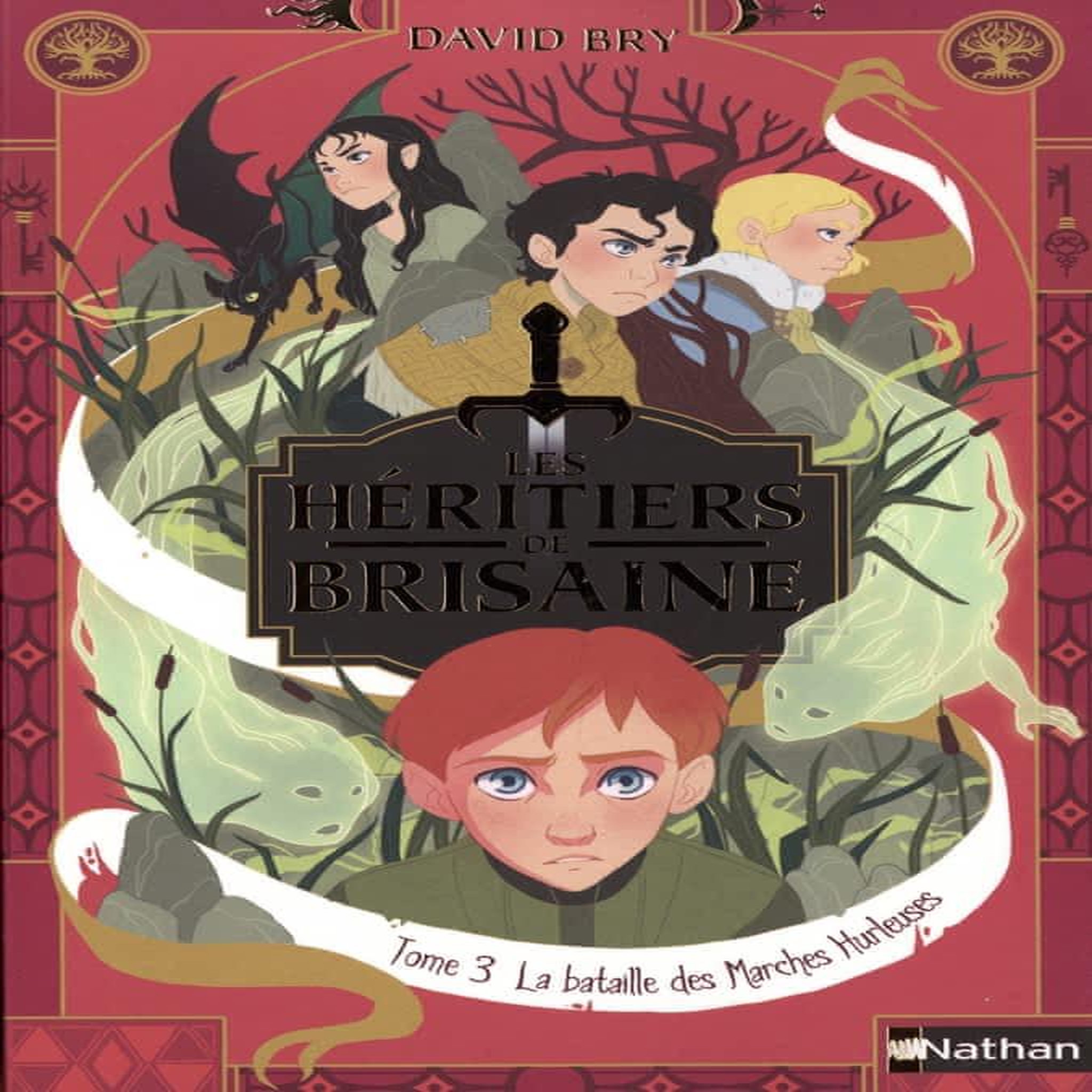 LES HERITIERS DE BRISAINE TOME 3 : LA BATAILLE DES MARCHES HURLEUSES, Bry David