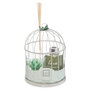 Voir la diapositive 1 : COMPTOIR DE LA BOUGIE Coffret de Fragrances  Cage  20cm Eucalyptus