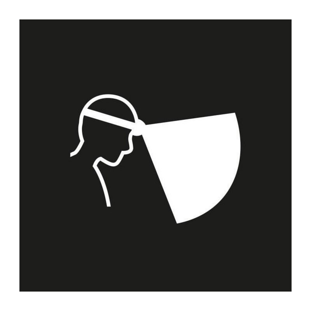 Petzl Lampe frontale étanche - PETZL - ARIA 1 - 350 lumens - 3 piles AAA/LR03 incluses - Noir