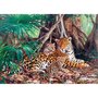  Puzzle 3000 pièces - Jaguars dans la forêt