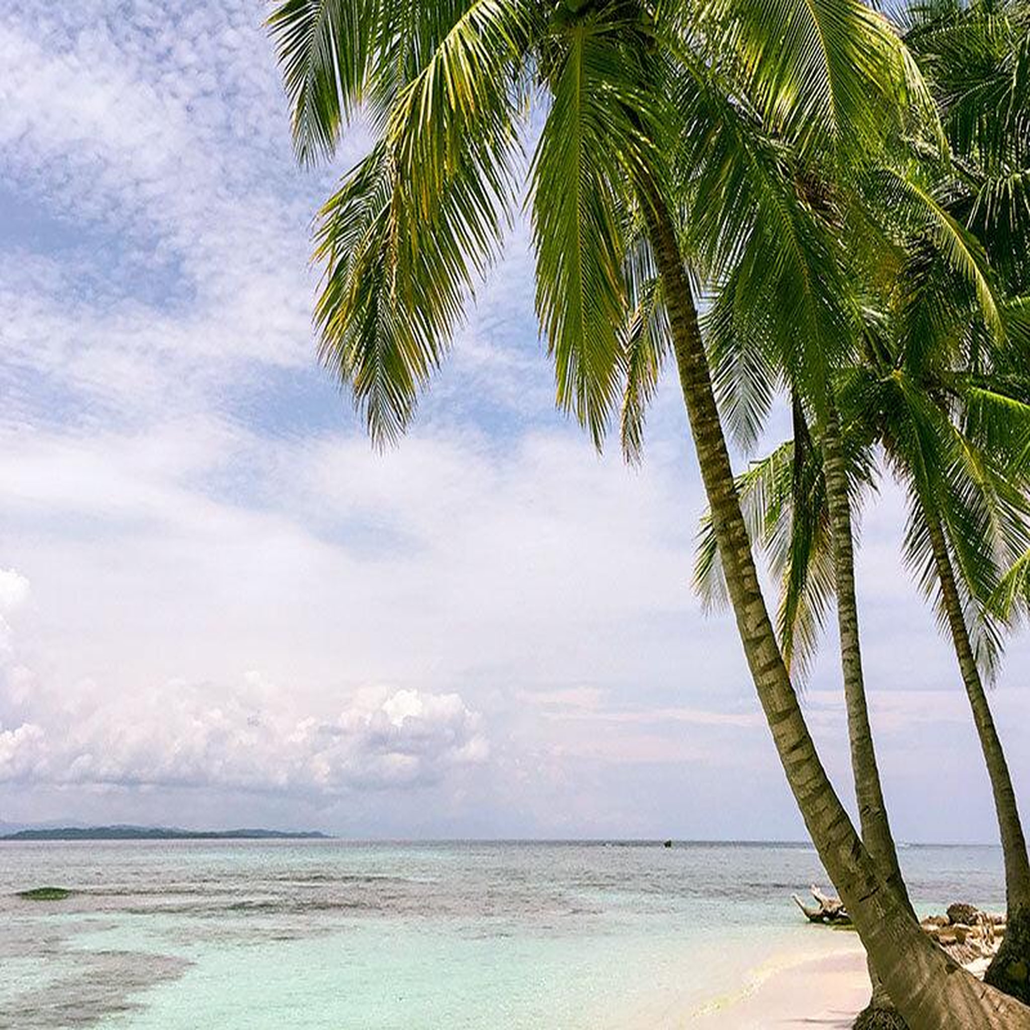 Voir la diapositive 4 : Smartbox Voyage en floride : 5 jours en hôtel 3* à miami avec excursion dans les everglades et les keys - coffret cadeau séjour