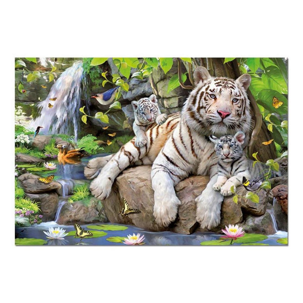 EDUCA puzzle 1000 pieces tigres blancs du bengale