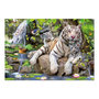 Voir la diapositive 2 : EDUCA puzzle 1000 pieces tigres blancs du bengale