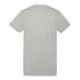 Voir la diapositive 2 : Schott T-shirt Gris Homme Schott Vintage