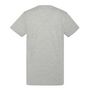 Voir la diapositive 2 : Schott T-shirt  Homme Schott Vintage