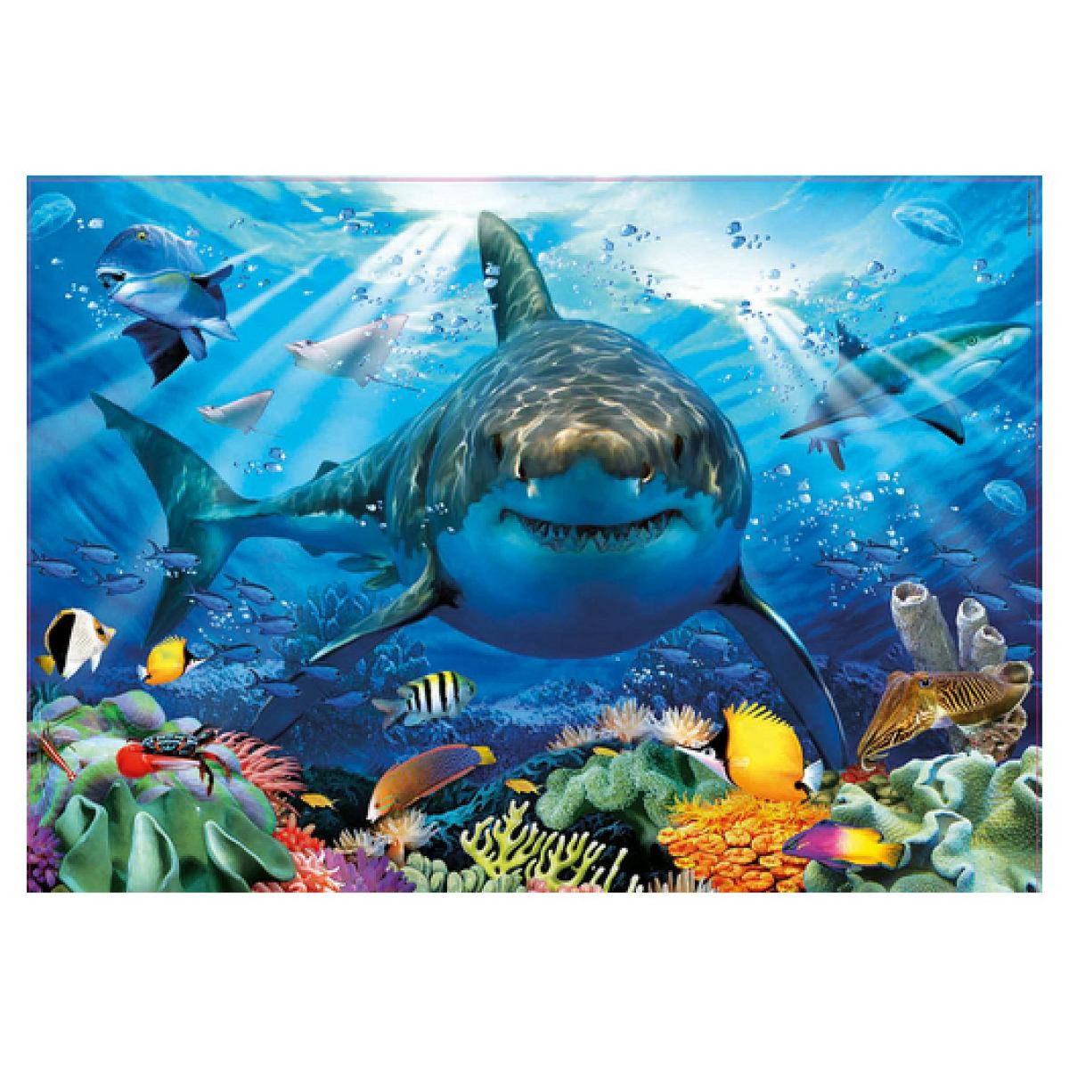 EDUCA Puzzle Grand Requin Blanc 500 pièces