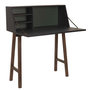 Voir la diapositive 1 : Paris Prix Bureau Cabinet Design  Emile  104cm Vert & Marron
