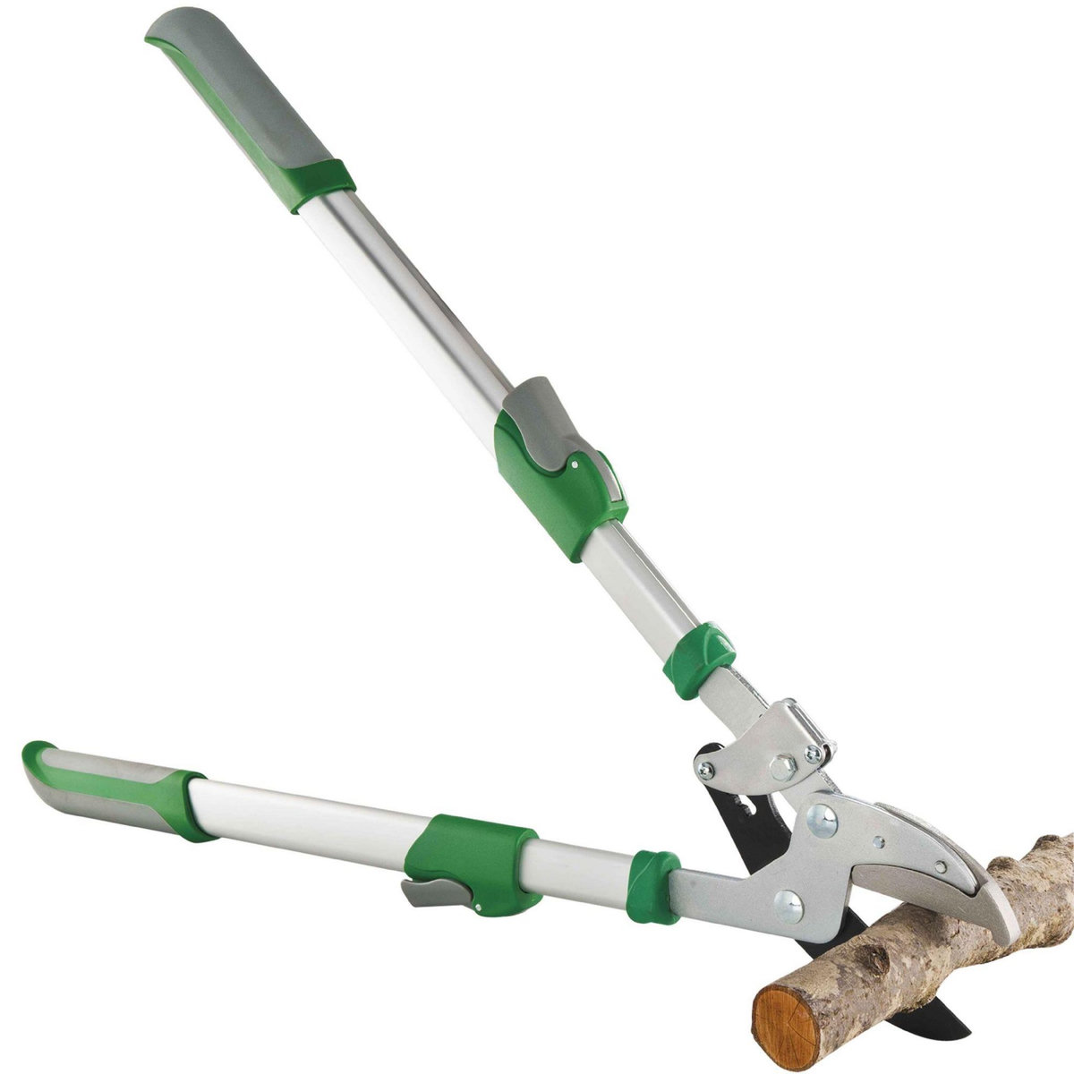 Ribiland Cisaille télescopique démultipliée