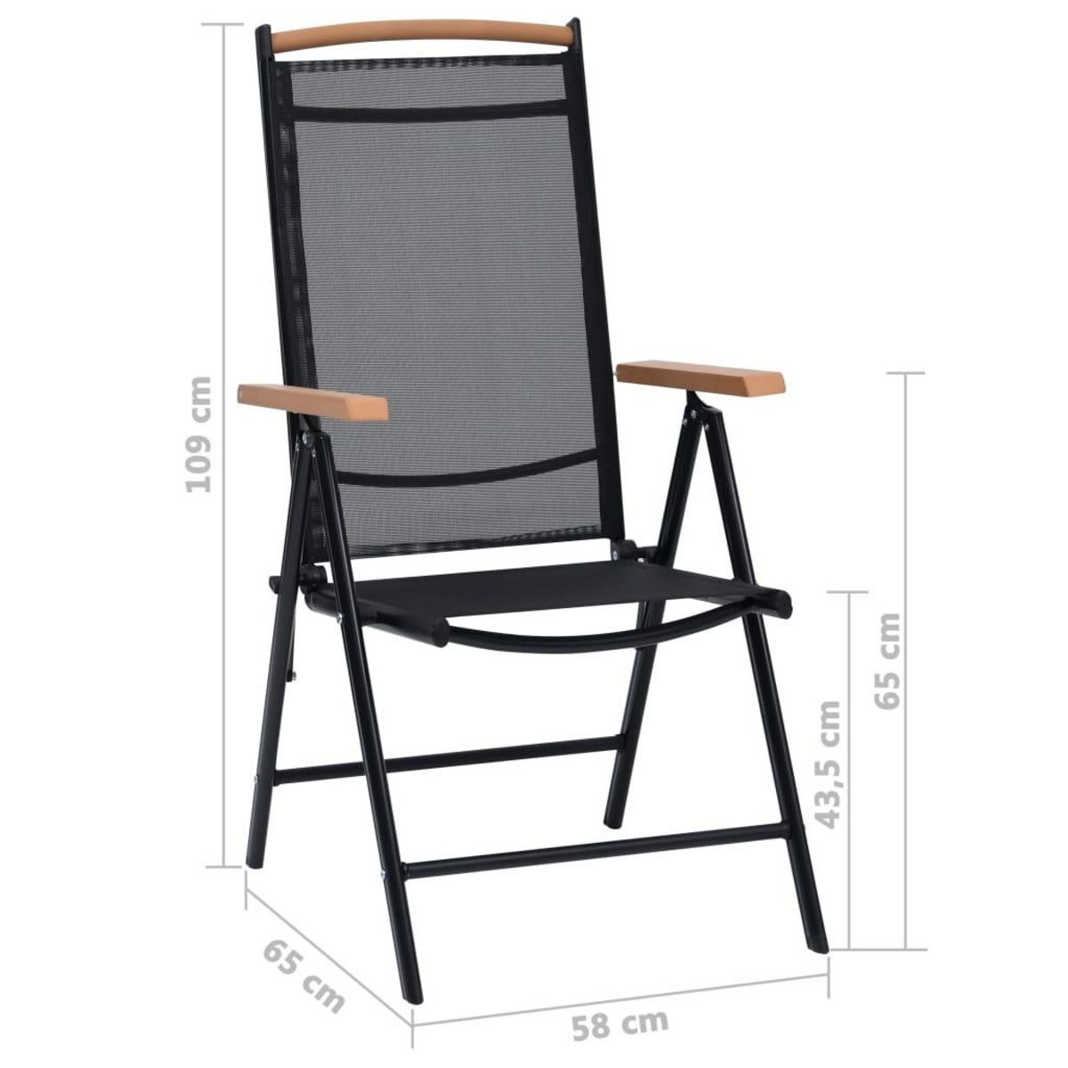 VIDAXL Chaises de jardin pliables lot de 2 aluminium et textilene noir