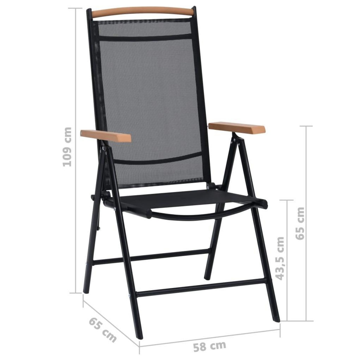 VIDAXL Chaises de jardin pliables lot de 2 aluminium et textilene noir