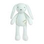 Voir la diapositive 2 : JEMINI LIMINOU Peluche lumineuse lapin +/- 30 cm