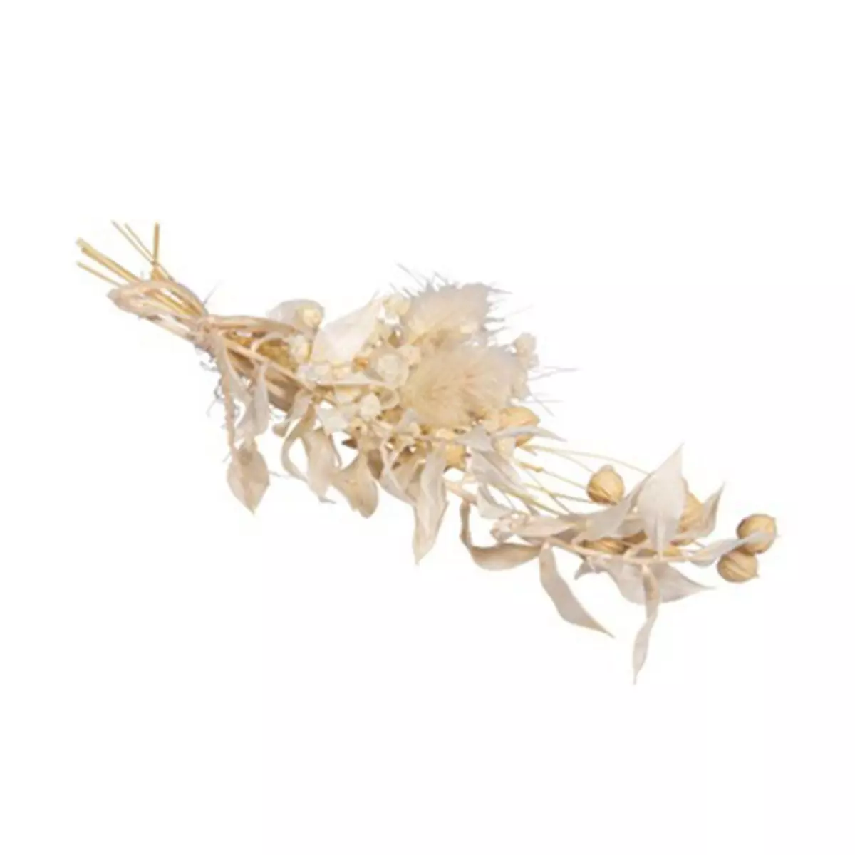 Rayher Bouquet de fleurs séchées blanches