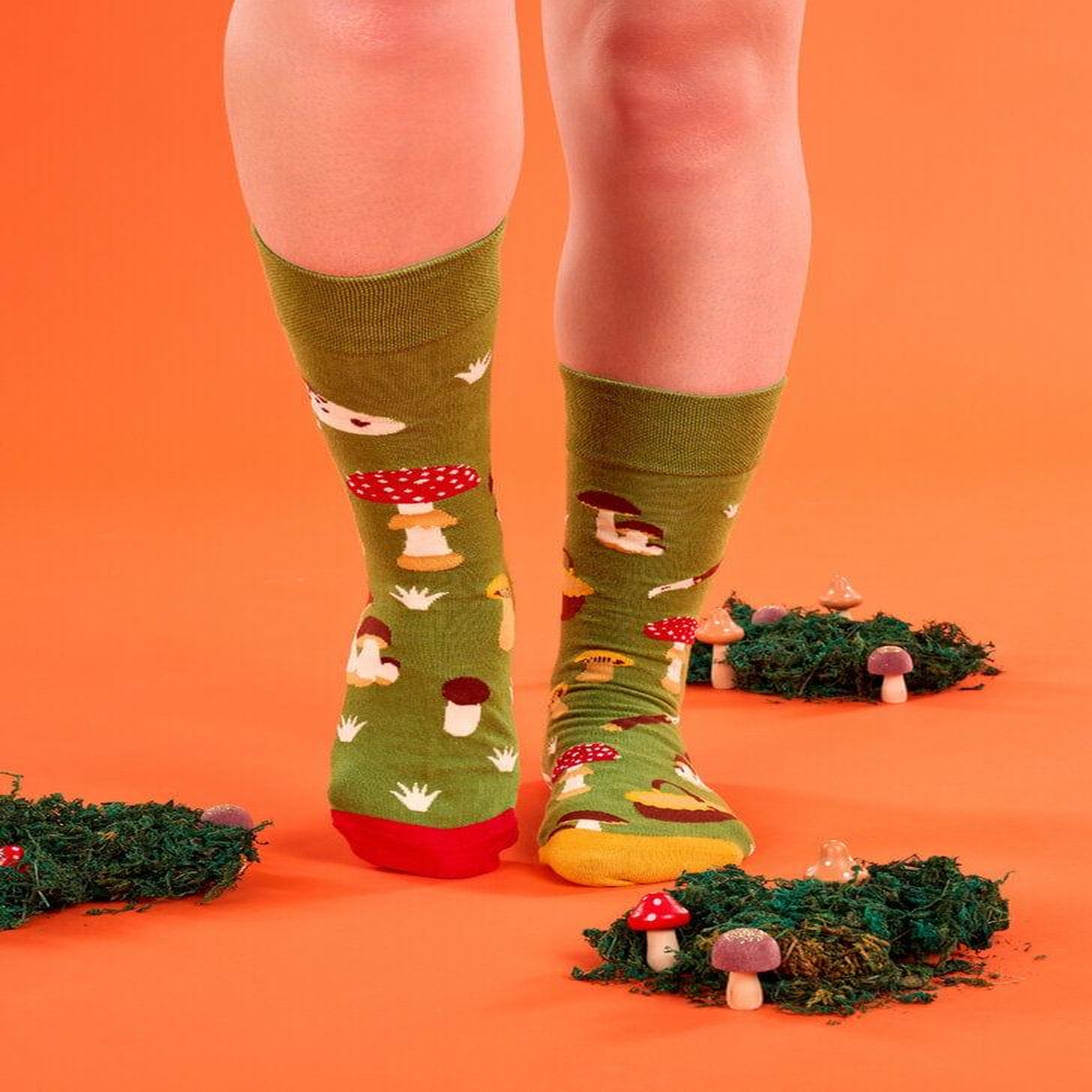 Voir la diapositive 4 : DEDOLES Chaussettes cueillette des champignons