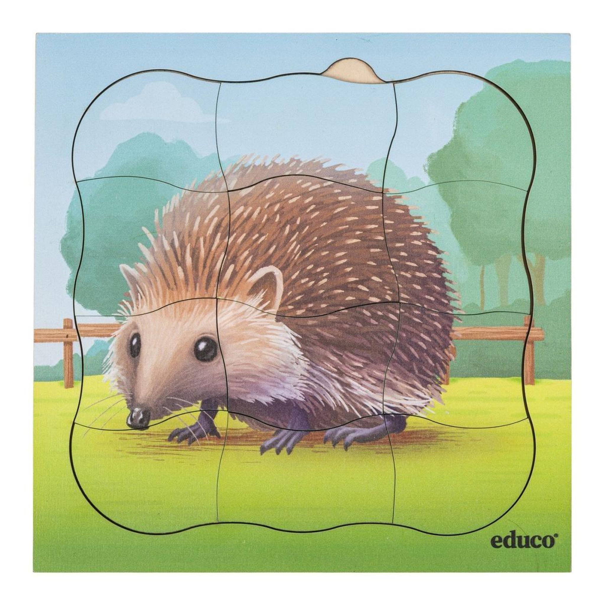 Voir la diapositive 4 : EDUCO À la ferme - lot combiné — 5 puzzles