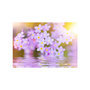 Voir la diapositive 2 : Paris Prix Papier Peint  Violet Petals in Bloom