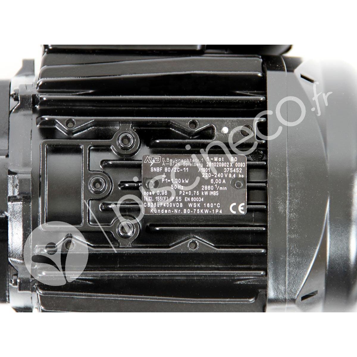 Pentair Moteur pour pompes La Sta-Rite 1 CV Mono - Pentair