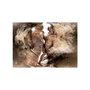 Voir la diapositive 2 : Paris Prix Papier Peint  Hidden Love