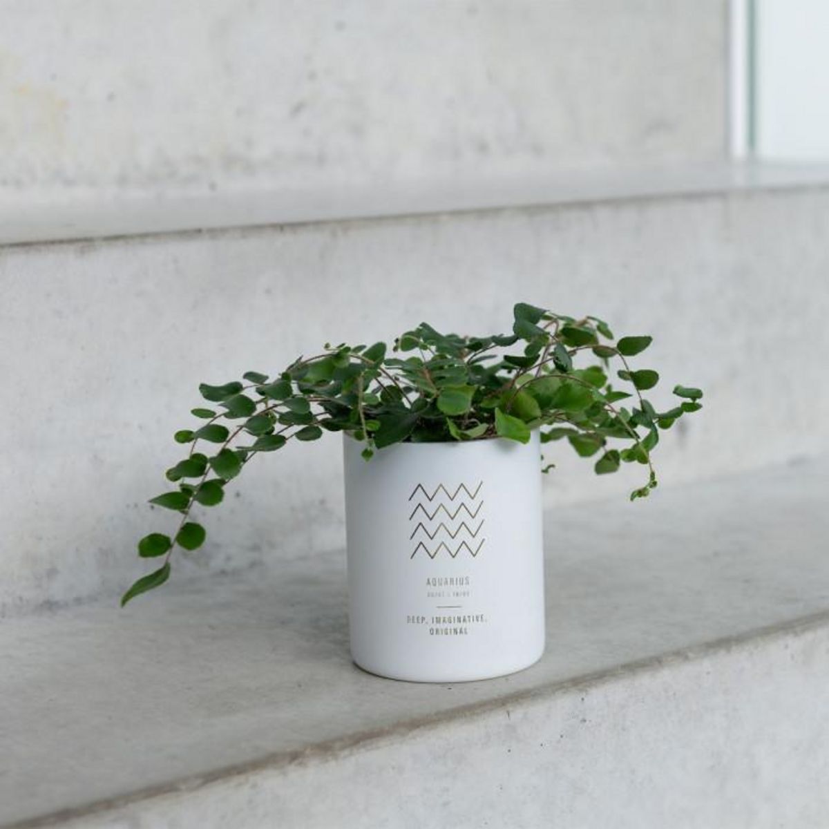 Paris Prix Bougie Parfumée  Verseau  10cm Sapphire Amber Tea