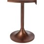 Voir la diapositive 4 : Paris Prix Lot de 2 Tables d'Appoint  Fone  56cm Bronze