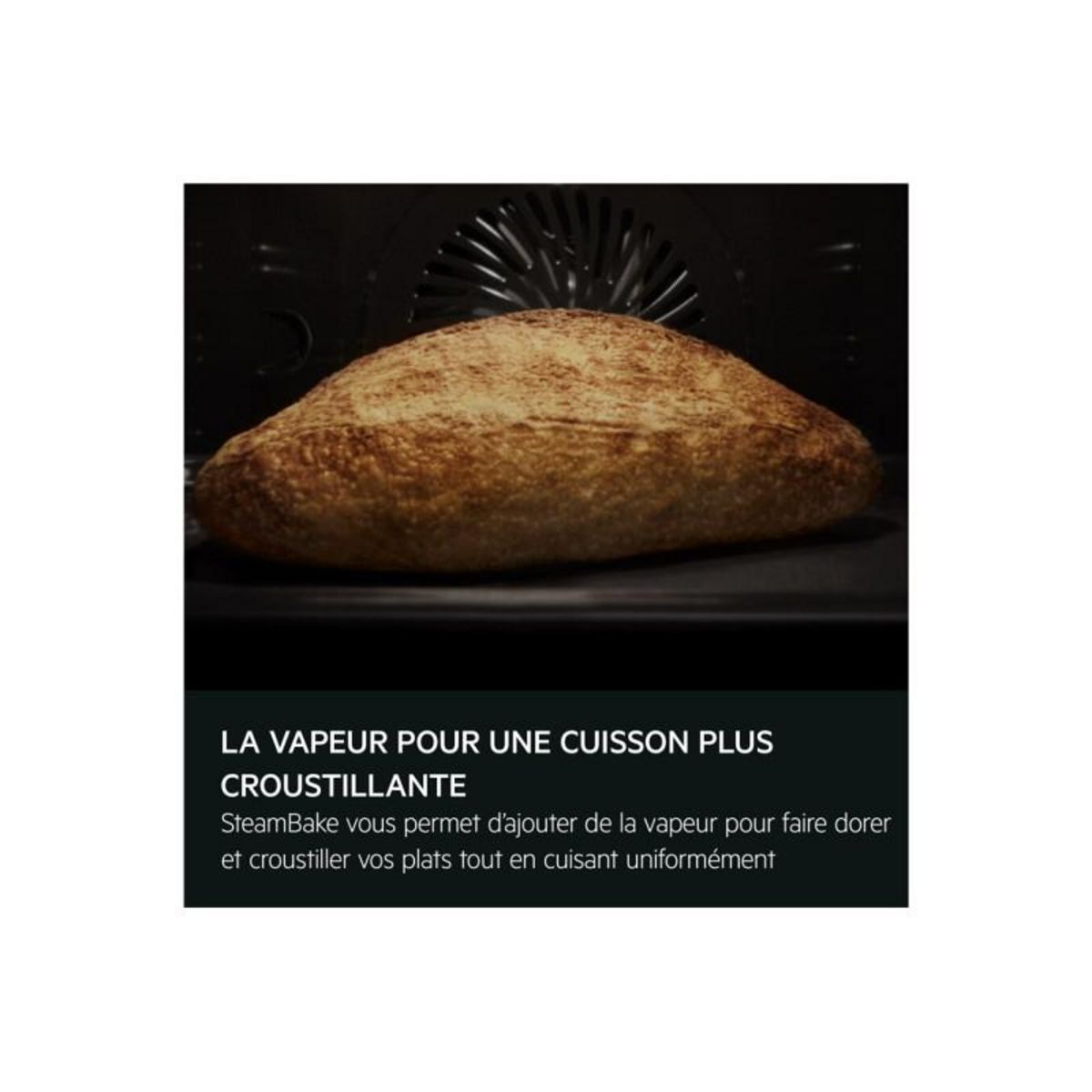 AEG Four encastrable Aeg OA5PB50SAB