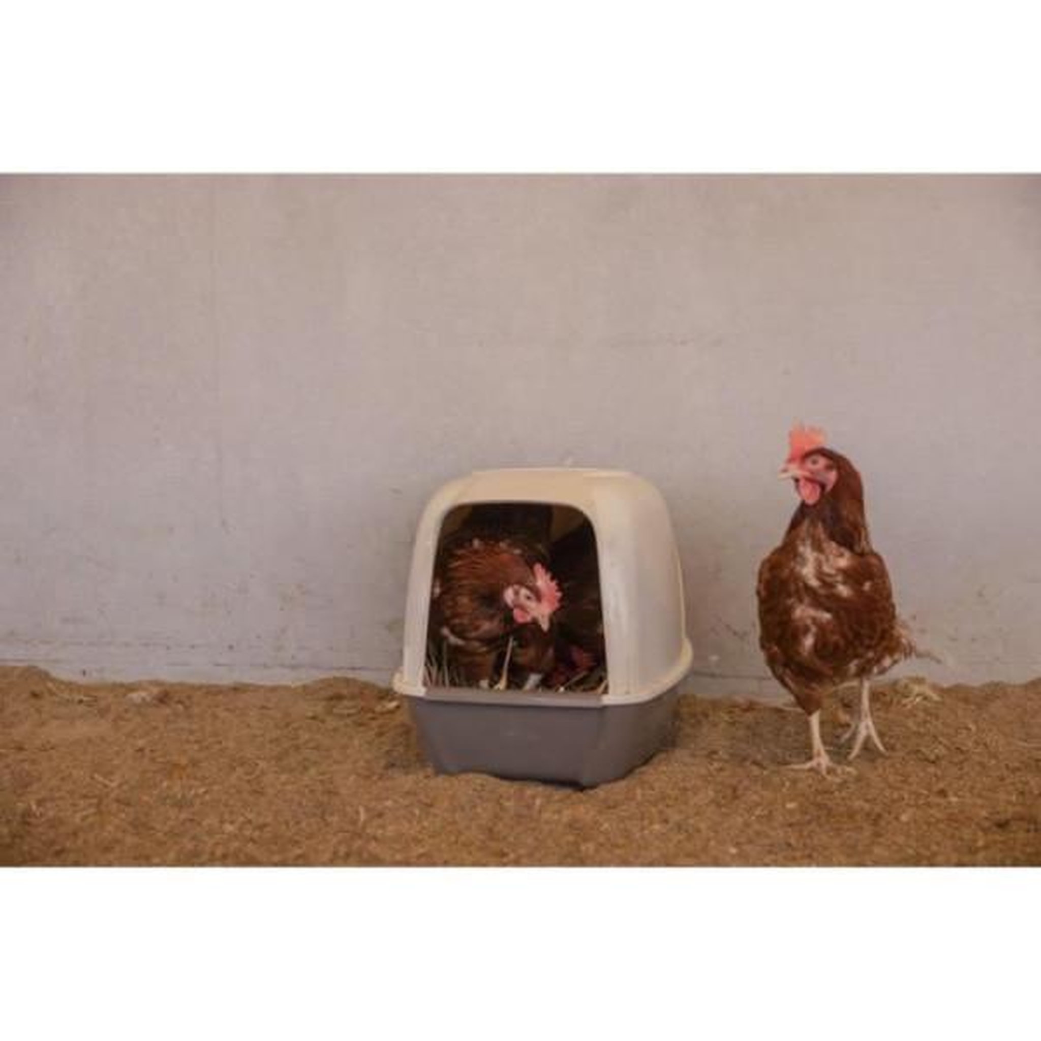 KERBL Pondoir pour poules - KERBL - 52 x 39 x 39 cm