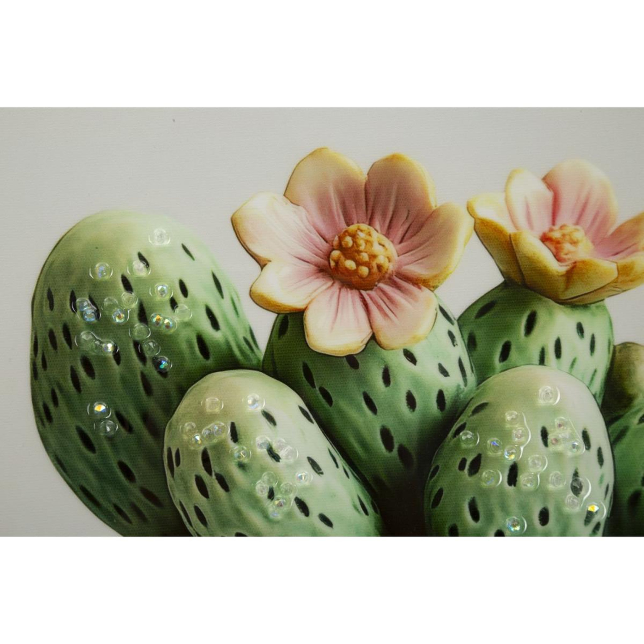 Voir la diapositive 3 : Paris Prix Tableau imprimé  cactus i  40x40cm multicolore