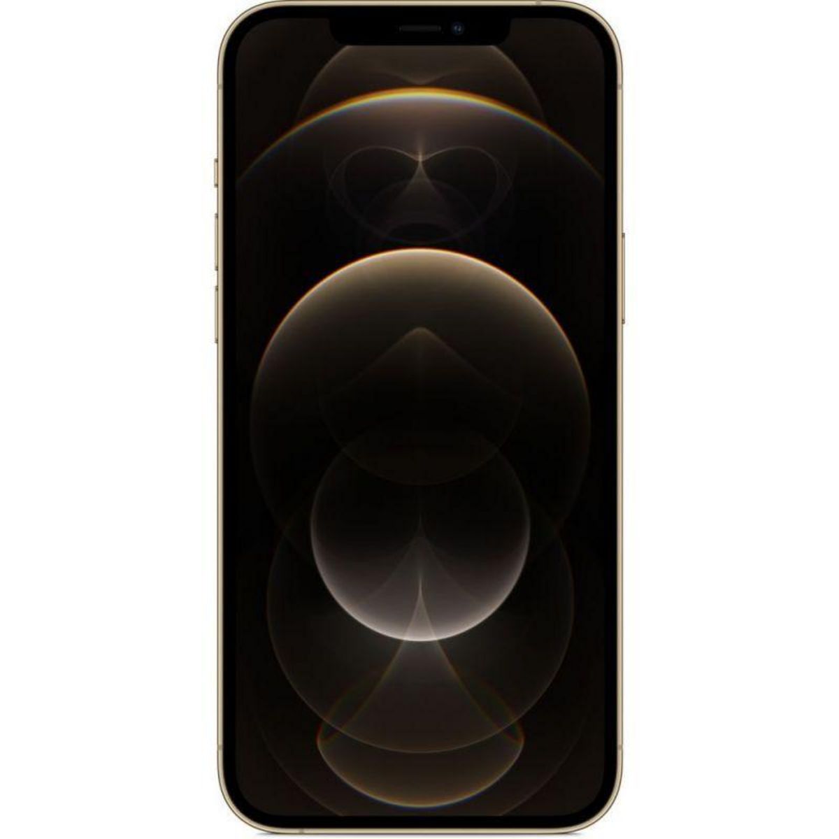 APPLE iPhone 12 Pro Max  reconditionné 256 Go - Grade A - Or