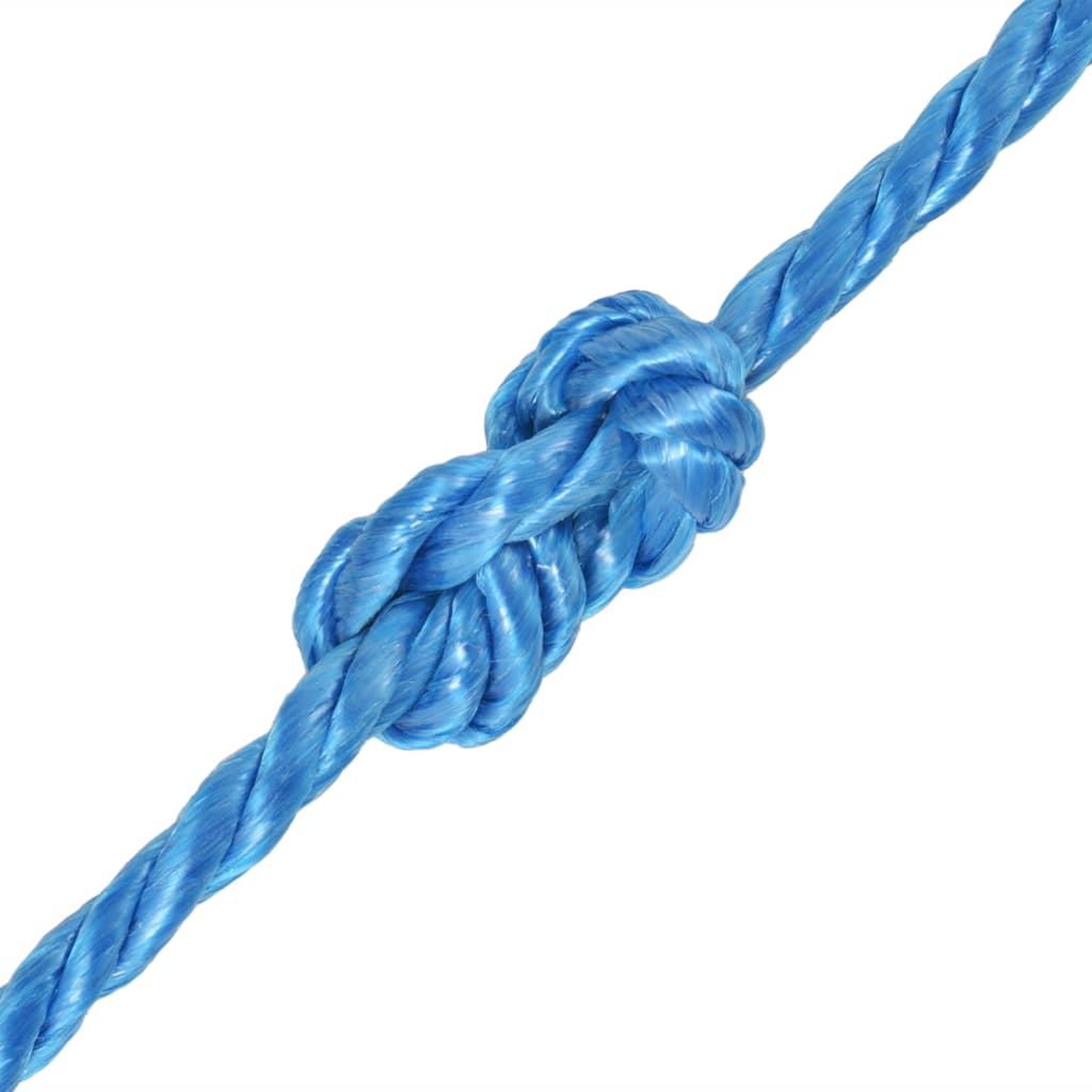 Voir la diapositive 2 : VIDAXL Corde torsadee Polypropylene 12 mm 100 m Bleu