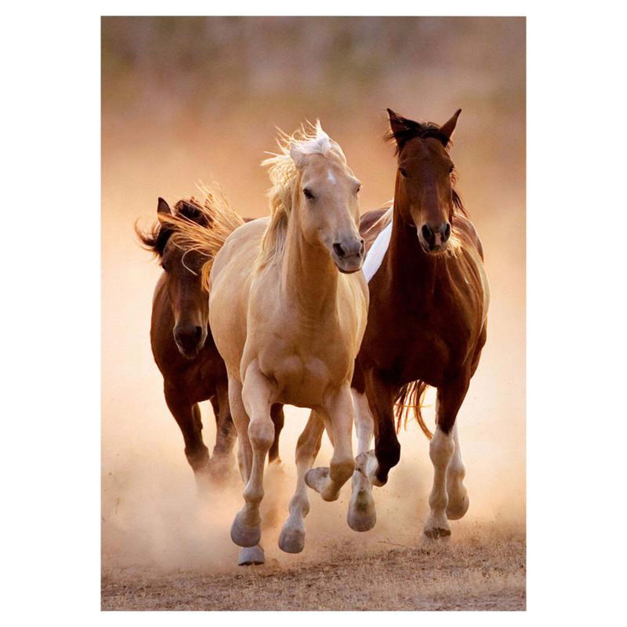 Voir la diapositive 2 : CLEMENTONI Clementoni Puzzle Horses, 1000st.