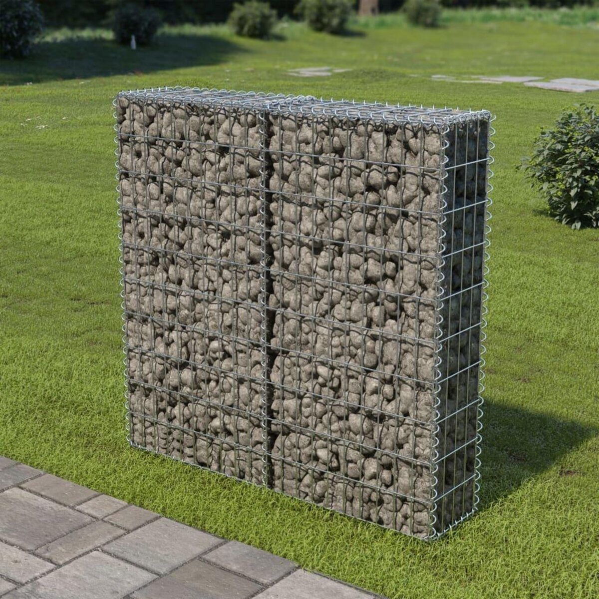 VIDAXL Mur a gabion avec couvercles Acier galvanise 100x20x100 cm