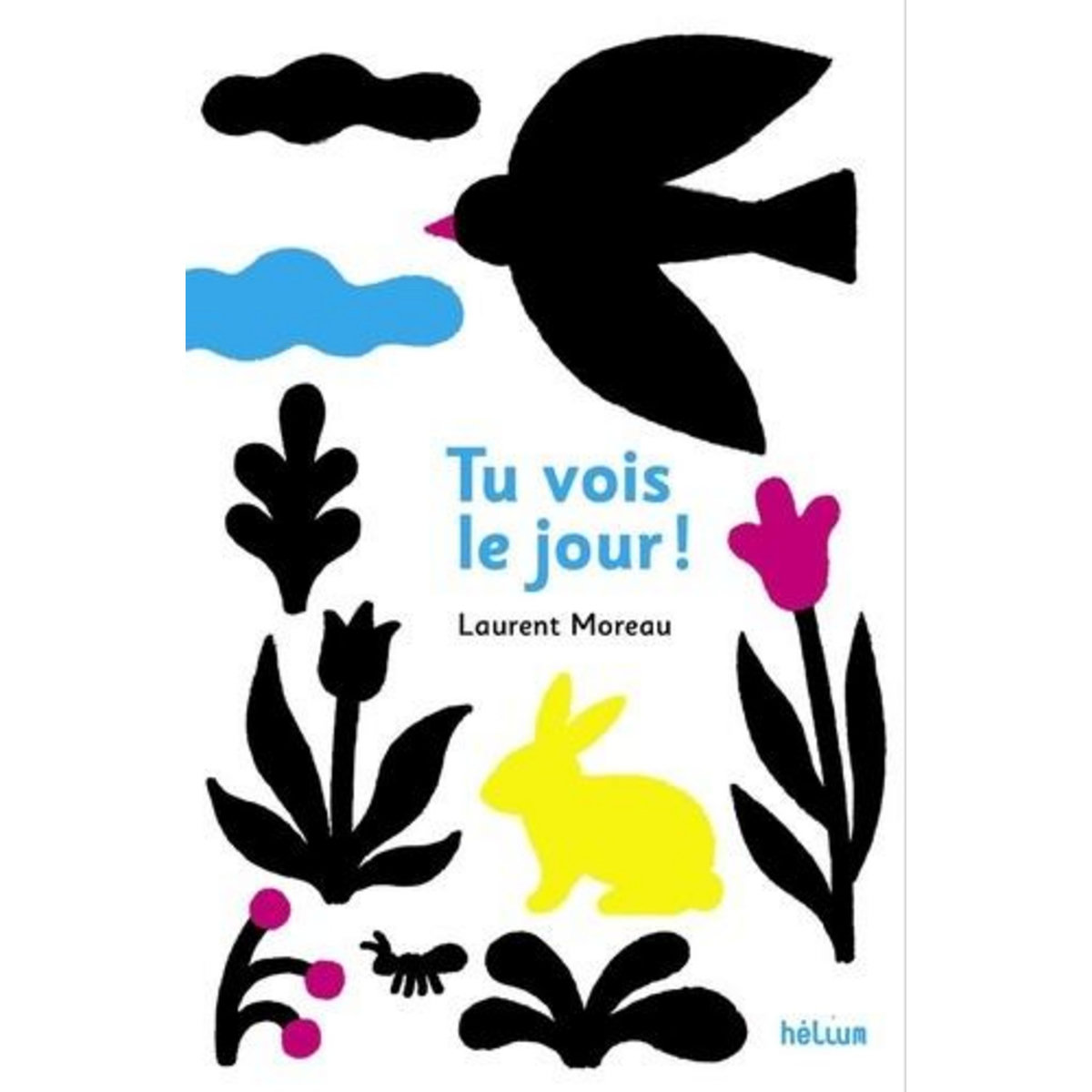 TU VOIS LE JOUR !, Moreau Laurent